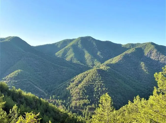 Gaia Residence, Peristerona, Polis Chrysochous Villa Paphos