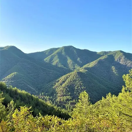 Gaia Residence, Peristerona, Polis Chrysochous Vilă Paphos